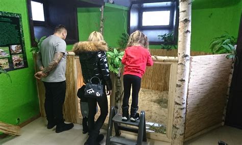 ZWIERZĘTA EGZOTYCZNE GADY REPTARIUM (2025) All You Need to Know BEFORE ...