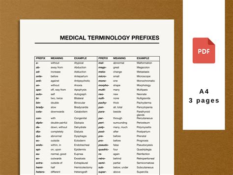Medical Terminology List, Printable Pdf Medical Prefixes and Suffixes ...
