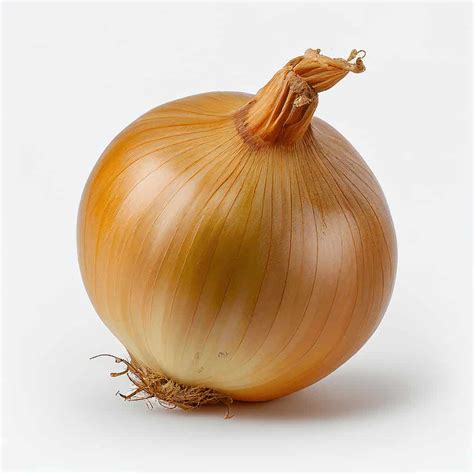 Yellow Sweet Spanish Onions - Veazey Plant Farm