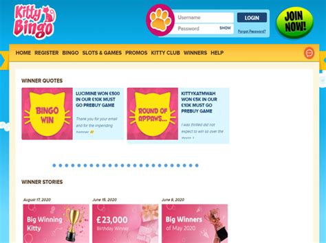 Kitty Bingo Casino Review | Bonuses, Features and Support