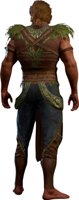Druid Leather Armour - bg3.wiki