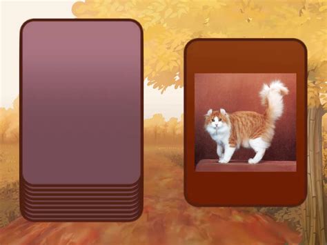 Image result for Language Master ABC Card