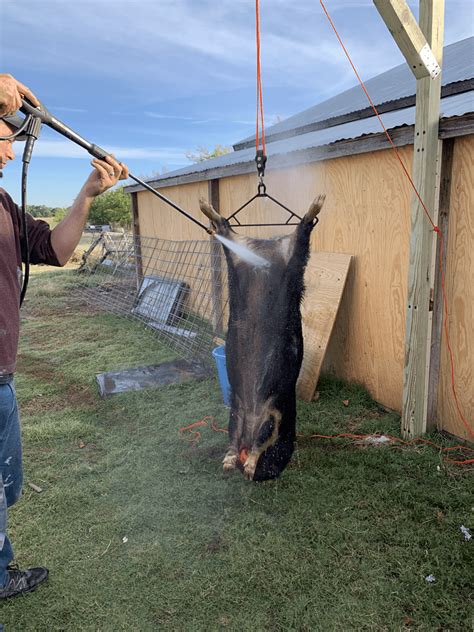 Butchering Meat 的图像结果