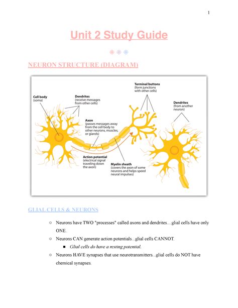 AP Psychology - Unit 2 Study Guide - Unit 2 Study Guide NEURON ...