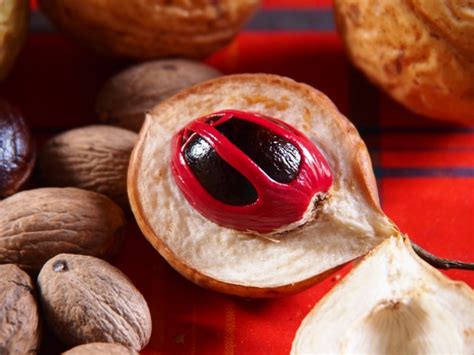 9 Substances People Used As Drugs In Prehistoric Times