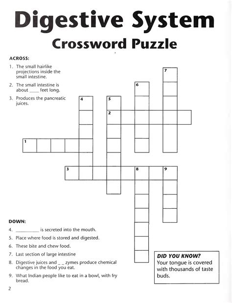 Digestive system Crossword puzzle | Free Printable Puzzle Games