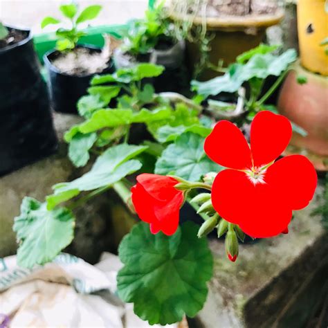 THE BEST Places to Visit in Takdah (2026) - Must-See Attractions