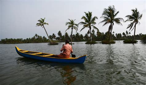 Trouble looms for ancient Indian grain that combats climate- The Week