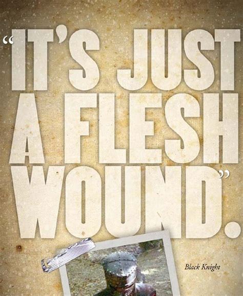Image result for Monty Python Flesh Wound
