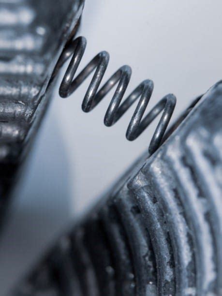 Image result for Spring Reation