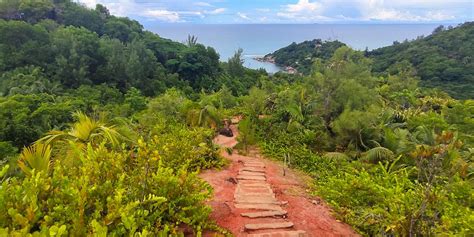 Fond Ferdinand Nature Reserve | Travel Information for Praslin ...