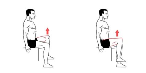 Image result for Contralateral March Exercise