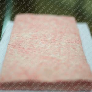 Filter Package Assembly - Basic Incubator, Maternal-Infant Care | GE ...