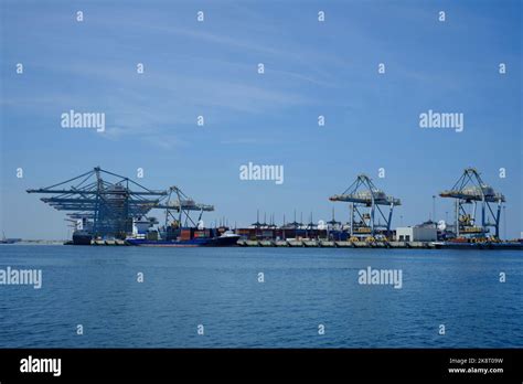 Image result for Rotterdam Container Terminal