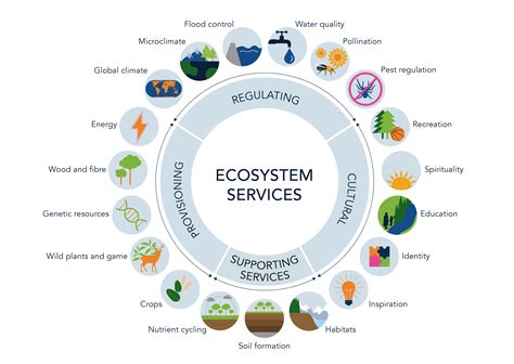 Ecosystem Services Relevance Ecosystem Services As A Boundary Concept: