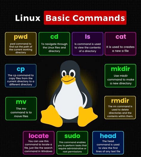 Image result for Linux Commands How We Learn