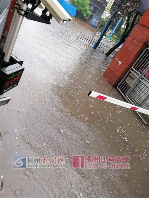 积水难消、车辆被泡……柳州今早的强降雨，导致多个低洼路段出现险情_腾讯新闻