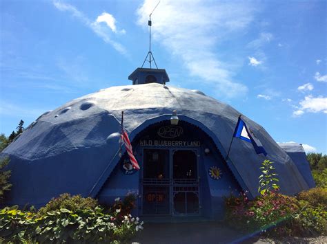 Blueberries! – Towing Silver: Kim Davison's Travels