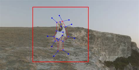 Image result for Object Tracking App