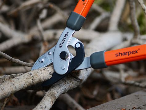 Sharpex Razor Sharp Carbon Steel Blade Anvil Lopper with Sturdy Handle ...
