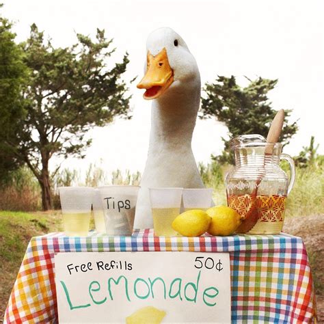 Aflac Duck Lemonade Stand | Aflac duck, Duck and ducklings, Super cute ...