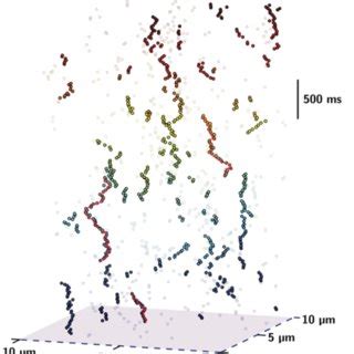 Single Particle Tracking 的图像结果