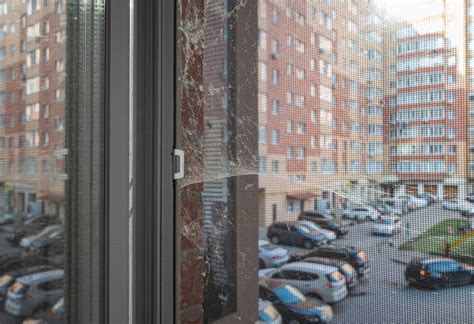 Why Spiders Come Inside During Fall | IPM Pest and Termite