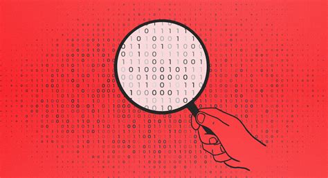 Coding Audit 的图像结果