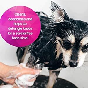 Buy Bio Clean All Natural,Free of Sulfates & Parabens. for Dry, Itchy ...