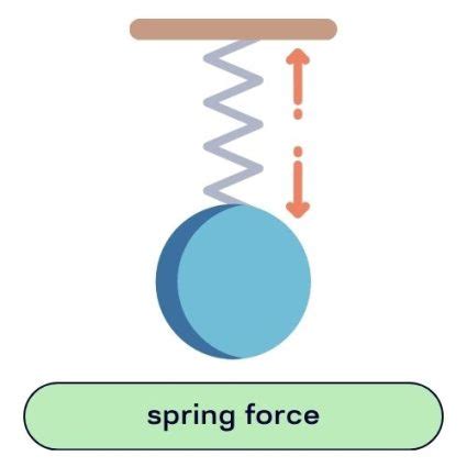 Image result for Forces On a Spring