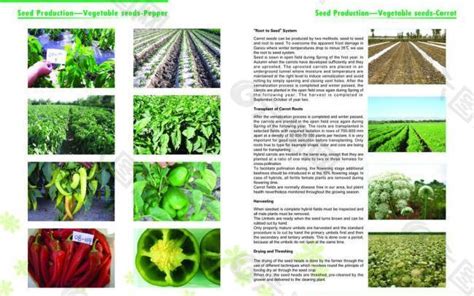 种子公司画册图片平面广告素材免费下载(图片编号:2783251)-六图网