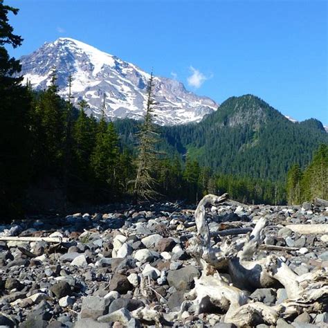 The 5 Best Hotel Deals in Mount Rainier National Park (Jun 2024 ...