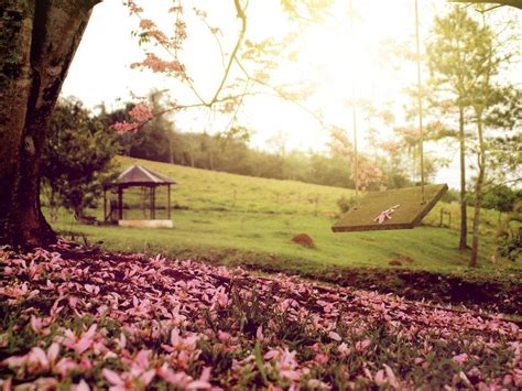 Image result for Adding Background Image Using Swing