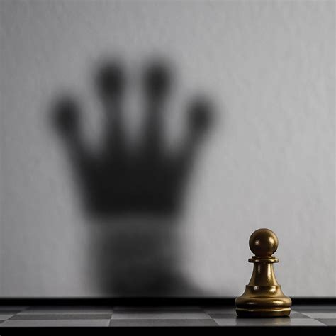 About Us – Oliveware India