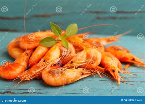 Small shrimp (crustaceans) stock photo. Image of horizontal - 79217002