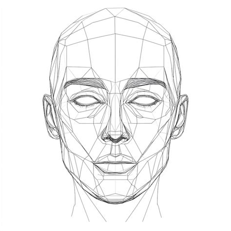 Image result for Face Structure Drawing