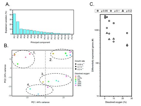 Image result for Transcriptome Analysis