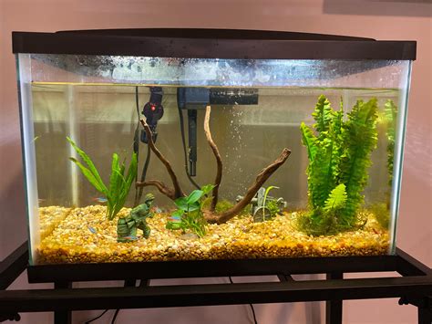 10 Gallon Freshwater Tank My First Fish Aquarium, It's A 10 Gallon.