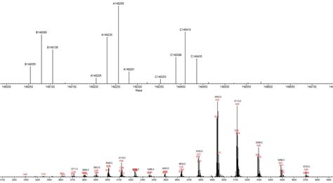 Intact Protein Deconvolution Chromeleon 的图像结果