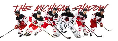 Michigan Hockey 的图像结果