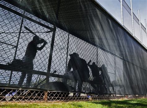 MLB Spring Training Lockout 的图像结果