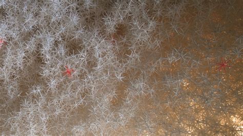 Image result for Aggregate Structure