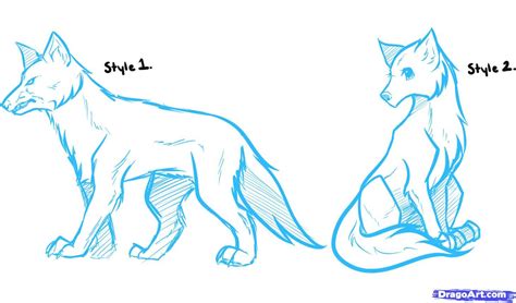 Draw Wolf 的图像结果