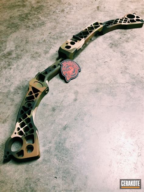 Image result for Custom Compound Bow