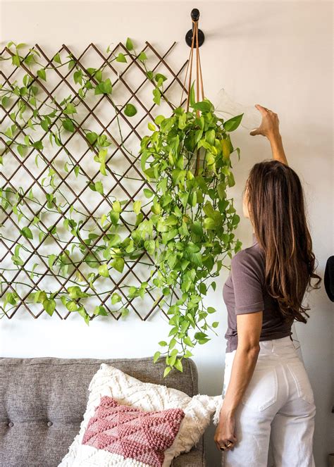 Best Plants For Living Wall at Carisa Macaulay blog