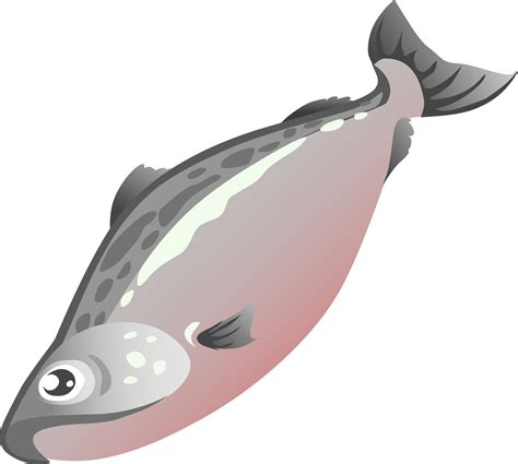 Free Salmon Cliparts, Download Free Salmon Cliparts png images, Free ...