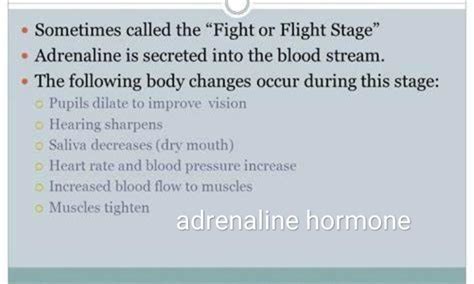 Explain how the human body respond when adrenaline is secreted into the ...