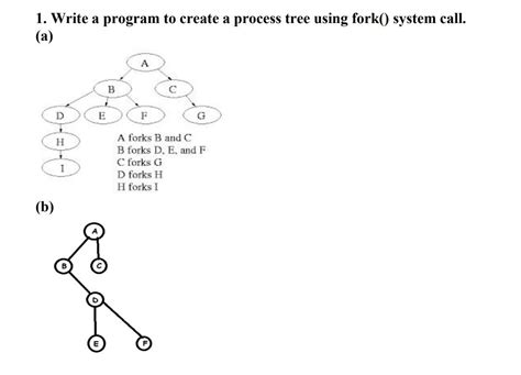 Using Exec System Call in Creating Process Tree 的图像结果