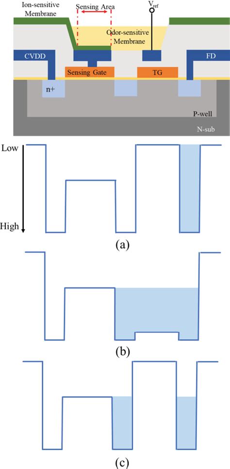 Image result for Glass/Carbon Sensor Array