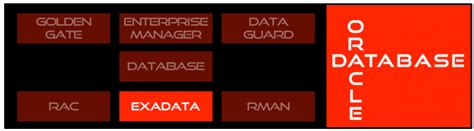 Image result for Oracle Exadata Database Logo